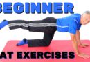 Top 10 Mat/Floor Exercises for Beginners or Out of Shape- NO Equipment