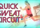 Quick Sweat Fat Burning Circuit!